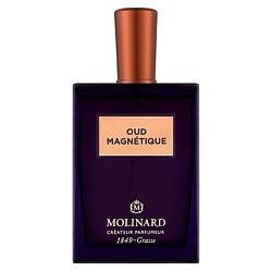 Парфюмерная вода Oud Magnetique