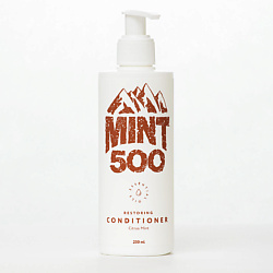 Мужские кондиционеры для волос для типа волос: жесткие MINT500