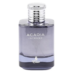 Парфюмерная вода Emir Acadia Intenso