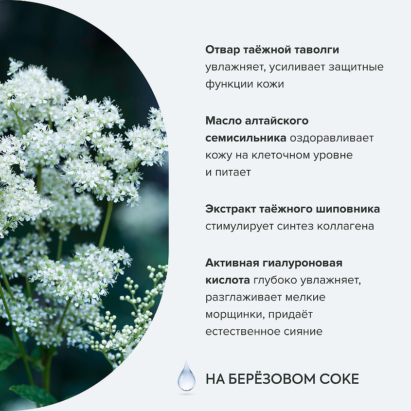 РЕЦЕПТЫ БАБУШКИ АГАФЬИ Крем-тонус для лица дневной Семисильный 35+ – фото 7