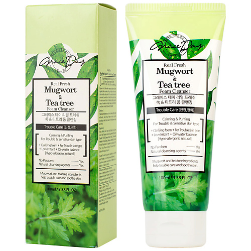 

GRACE DAY Успокаивающая пенка для умывания с экстрактами полыни и чайного дерева 100, Успокаивающая пенка для умывания с экстрактами полыни и чайного дерева