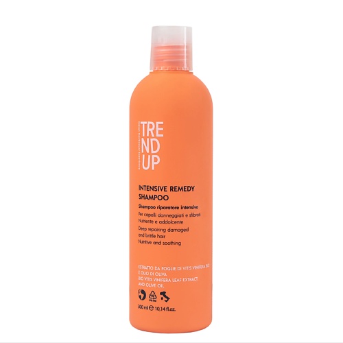 

TREND UP Профессиональный шампунь для восстановления поврежденных и экстремально поврежденных волос 300, Профессиональный шампунь для восстановления поврежденных и экстремально поврежденных волос
