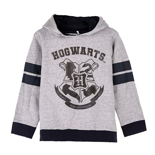 Свитшот HARRY POTTER Толстовка с капюшоном детская Harry Potter