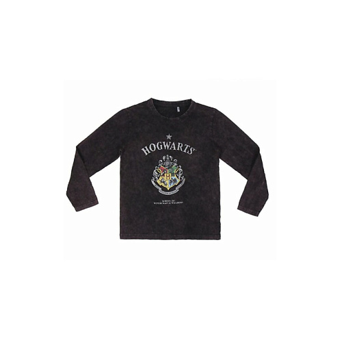 

HARRY POTTER Лонгслив Гарри Поттер, Лонгслив Гарри Поттер