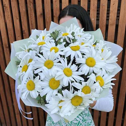 

CVETKOFF LUX Ромашки садовые крупные, Ромашки садовые крупные