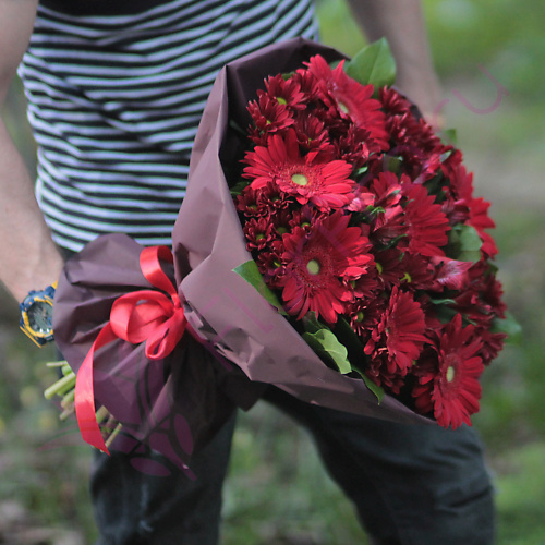 

FLORPRO Огненно красный, Огненно красный