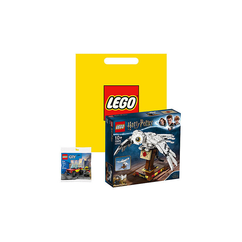 Изображение товара LEGO КонструкторHarry Potter Collection Set с Фигуркой Хедвига и Сумками в Стиле Пэчворк, Мультиколор