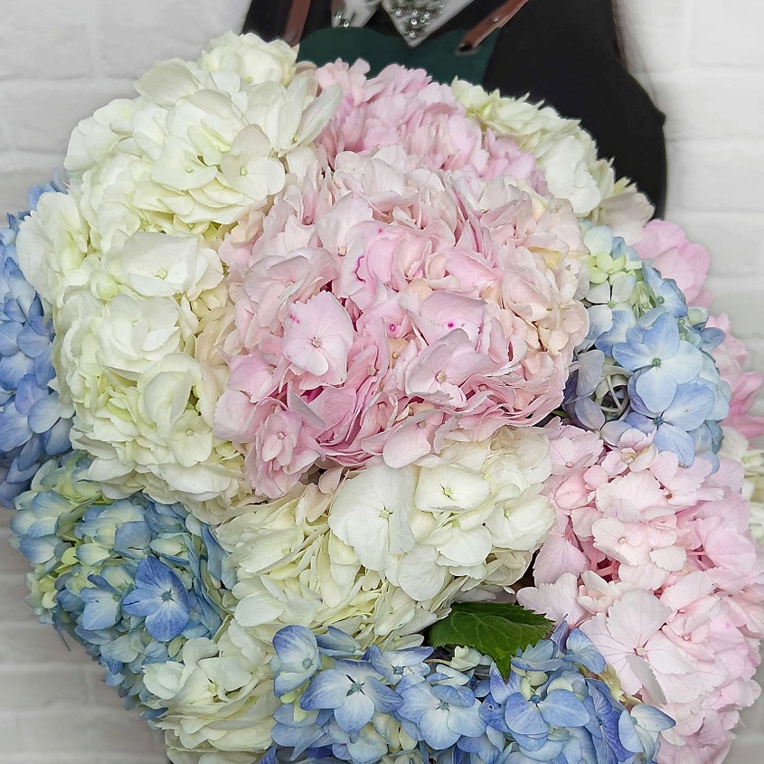 Изображение товара Букет из Гортензий Ничего лишнего 15 шт стильное решение для подарка и декора