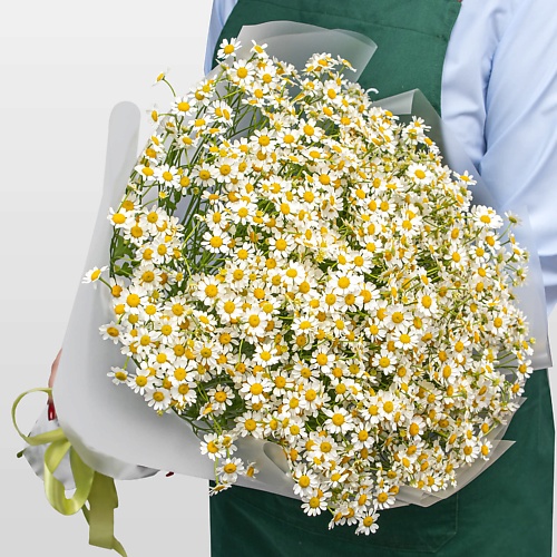 

STUDIO FLORISTIC Букет Ромашек «Летняя Нежность», Букет Ромашек «Летняя Нежность»