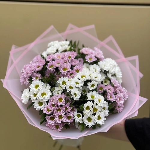 

ПЛАНЕТА ЦВЕТОВ ТВОЯ ПЛАНЕТА Вальс, Вальс