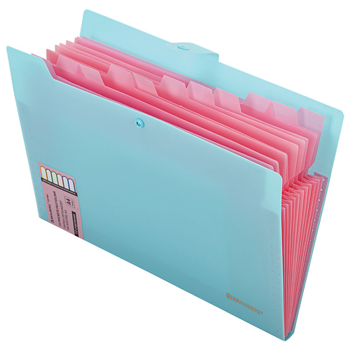 

BRAUBERG Папка-органайзер на кнопке Extra А4, Папка-органайзер на кнопке Extra А4