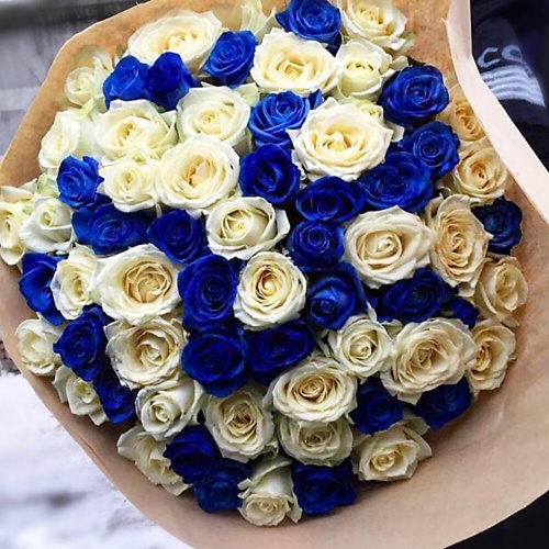 ДАРИ ЦВЕТЫ 101 белая и синяя Роза 50700₽