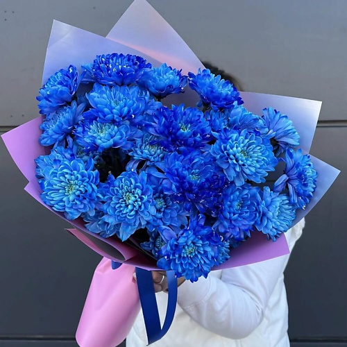 

ДАРИ ЦВЕТЫ Монобукет из синих хризантем, Монобукет из синих хризантем