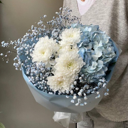 

ДАРИ ЦВЕТЫ Голубое облачко, Голубое облачко