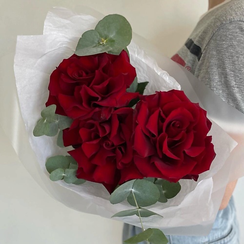 

ДАРИ ЦВЕТЫ Французские розы, Французские розы