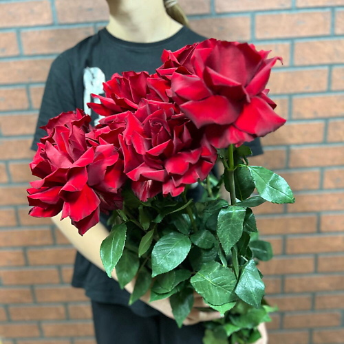 

КОЛИБРИ ЦВЕТОЧНЫЙ САЛОН 7 красных французских роз, 7 красных французских роз