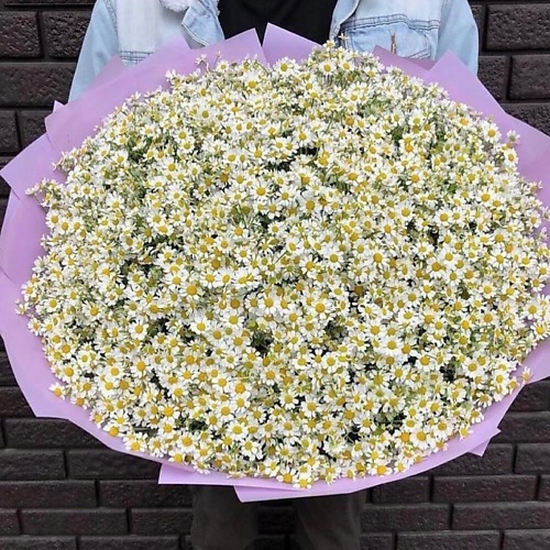 

ДАРИ ЦВЕТЫ Букет из полевых ромашек, Букет из полевых ромашек