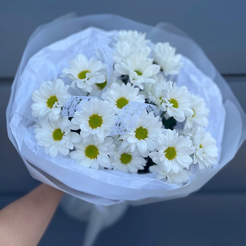 

ПЛАНЕТА ЦВЕТОВ ТВОЯ ПЛАНЕТА Безе, Безе