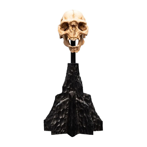

WETA WORKSHOP Игрушка Lord Of The Rings Mini Skull Of A Moria Orc 13 см Figure, Игрушка Lord Of The Rings Mini Skull Of A Moria Orc 13 см Figure