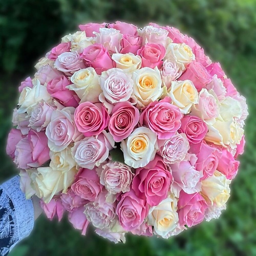 

КОЛИБРИ ЦВЕТОЧНЫЙ САЛОН 101 Роза микс Эквадор Премиум, 101 Роза микс Эквадор Премиум