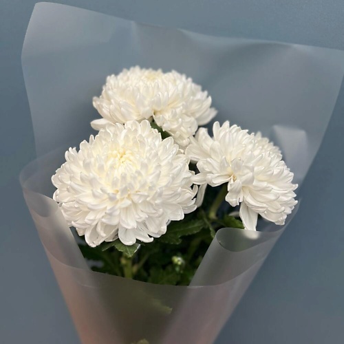 

КОЛИБРИ ЦВЕТОЧНЫЙ САЛОН Букет из стойких хризантем, Букет из стойких хризантем