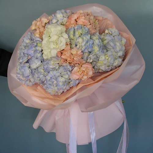 КОЛИБРИ ЦВЕТОЧНЫЙ САЛОН Королева- гортензия