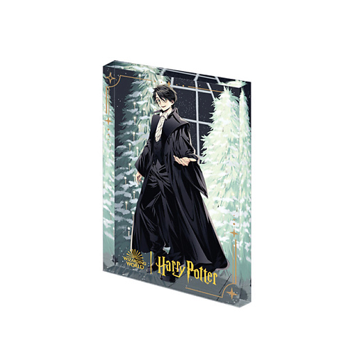Развивающая игрушка POP MART Игрушка Harry Potter Ball Collection, Flowing Sand Acrylic Harry Potter