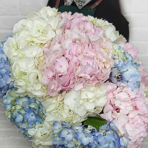 

STUDIO FLORISTIC Букет из Гортензий «Ничего лишнего», Букет из Гортензий «Ничего лишнего»