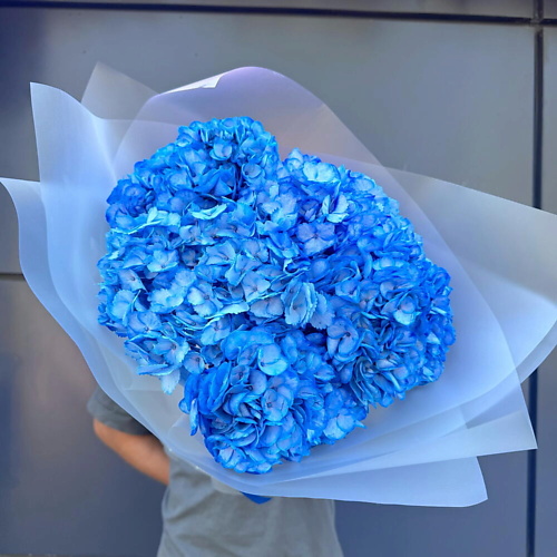 

ДАРИ ЦВЕТЫ Букет из синей гортензии, Букет из синей гортензии