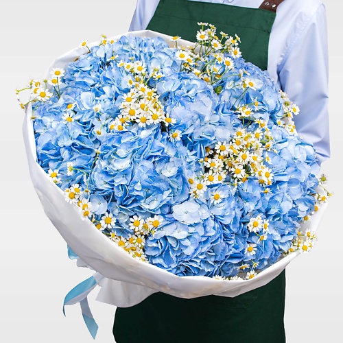 

STUDIO FLORISTIC Букет из Гортензий и Ромашек «Небо в ромашках», Букет из Гортензий и Ромашек «Небо в ромашках»