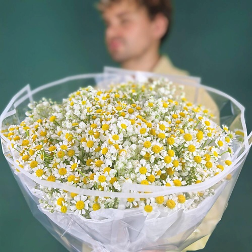 

ДАРИ ЦВЕТЫ Букет из Ромашки 7 шт и белой Гипсофилы 5 шт, Букет из Ромашки 7 шт и белой Гипсофилы 5 шт