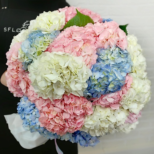 

STUDIO FLORISTIC Букет из разноцветных Гортензий «Воздушный шар», Букет из разноцветных Гортензий «Воздушный шар»