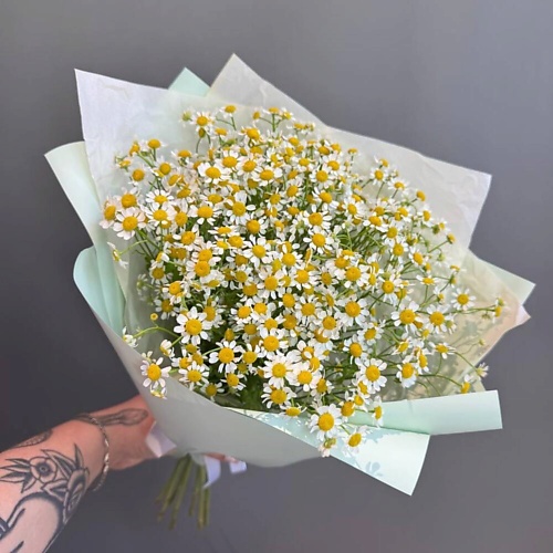 

ДАРИ ЦВЕТЫ Букет из 7 кустовых ромашек, Букет из 7 кустовых ромашек