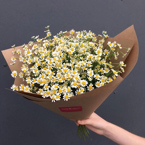 

ДАРИ ЦВЕТЫ Букет «ромашка», Букет «ромашка»