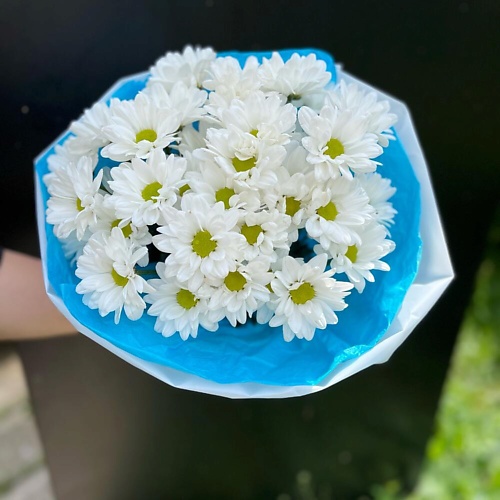 

КОЛИБРИ ЦВЕТОЧНЫЙ САЛОН Романтичные ромашки, Романтичные ромашки