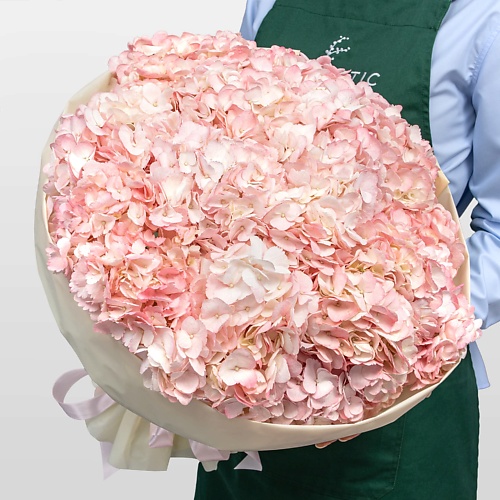 

STUDIO FLORISTIC Букет из светло-розовой Гортензии «Фламинго», Букет из светло-розовой Гортензии «Фламинго»