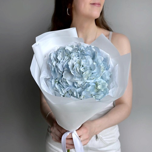 

VIBE СТУДИЯ ЦВЕТОВ И ПОДАРКОВ Нежный букет комплимент голубая гортензия, Нежный букет комплимент голубая гортензия