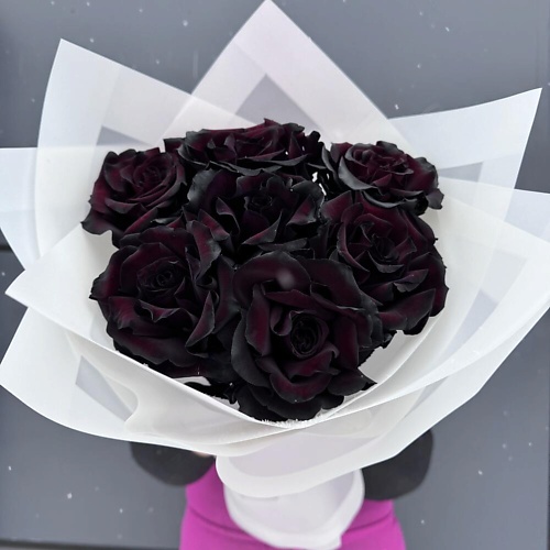 

ДАРИ ЦВЕТЫ Букет из 7 черных французских роз, Букет из 7 черных французских роз