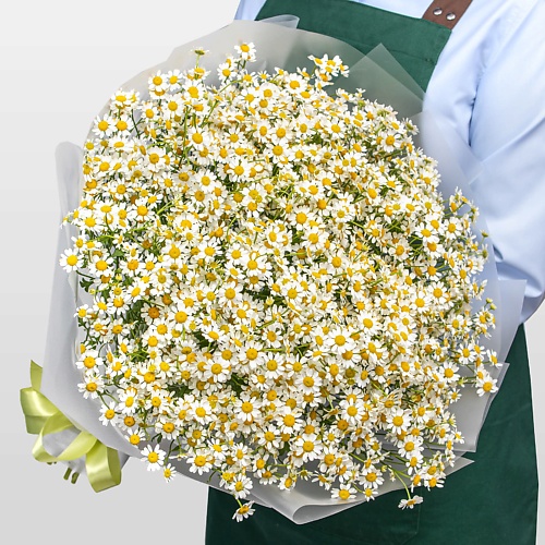 

STUDIO FLORISTIC Букет из 31 Ромашки «Нежные ромашки», Букет из 31 Ромашки «Нежные ромашки»