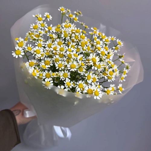 

ДАРИ ЦВЕТЫ Моно из ромашек, Моно из ромашек