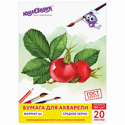 

ЮНЛАНДИЯ Папка для акварели А4 Юнландик на даче, Папка для акварели А4 Юнландик на даче