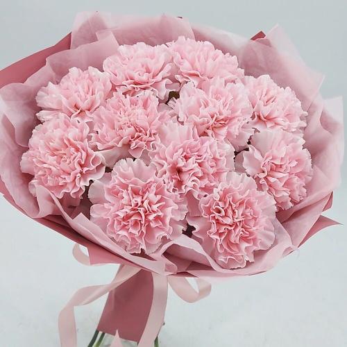 

VIBE СТУДИЯ ЦВЕТОВ И ПОДАРКОВ Розовые диантусы, Розовые диантусы