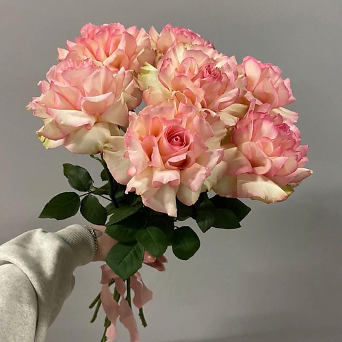 

ДАРИ ЦВЕТЫ Монобукет из 7 французских роз, Монобукет из 7 французских роз