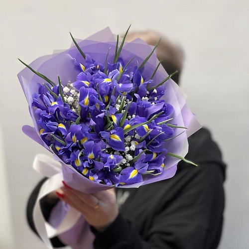 

КОЛИБРИ ЦВЕТОЧНЫЙ САЛОН Ирисы с гипсофилой, Ирисы с гипсофилой