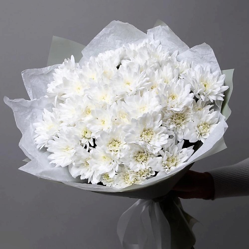 

ДАРИ ЦВЕТЫ Белый букет из хризантем, Белый букет из хризантем
