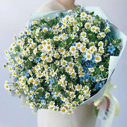 

ДАРИ ЦВЕТЫ Букет из ромашек и оксипеталума, Букет из ромашек и оксипеталума
