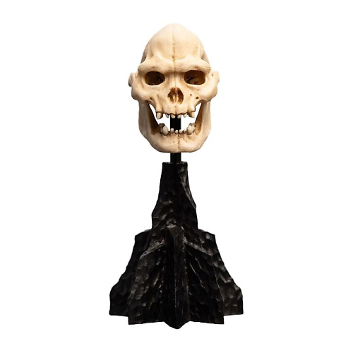 

WETA WORKSHOP Игрушка Lord Of The Rings Mini Skull Of Lurtz 14 см Figure, Игрушка Lord Of The Rings Mini Skull Of Lurtz 14 см Figure
