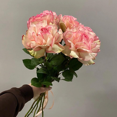 ДАРИ ЦВЕТЫ Французские розы 5 штук под ленту 3450₽