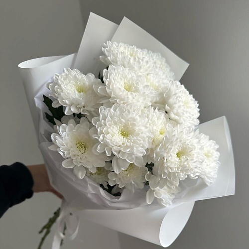

VIBE СТУДИЯ ЦВЕТОВ И ПОДАРКОВ Букет белоснежных хризантем, Букет белоснежных хризантем