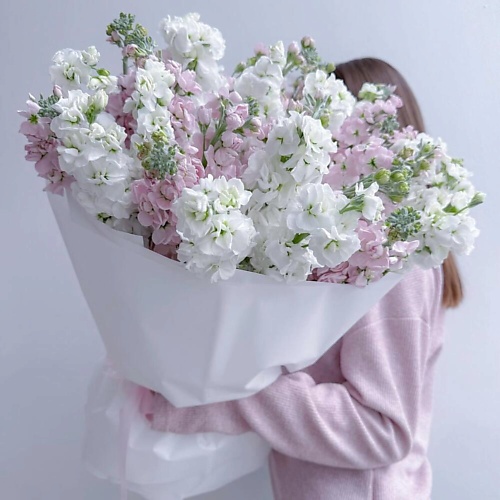 

ДАРИ ЦВЕТЫ Букет из ароматной маттиолы, Букет из ароматной маттиолы